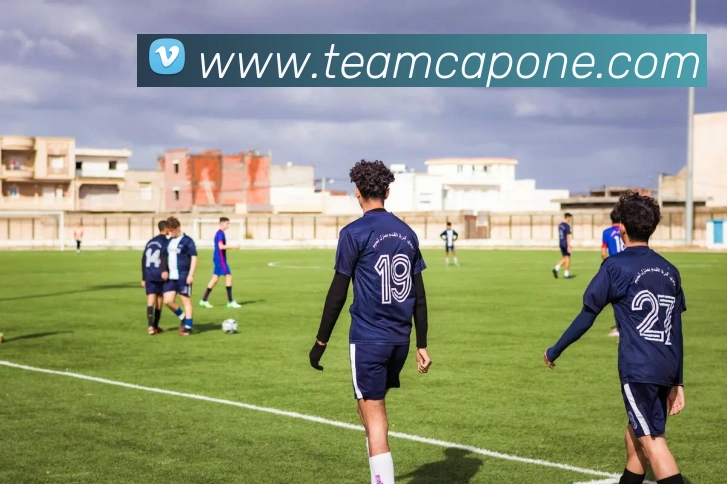 乐动在线平台平台生态图